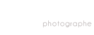 Logo Dominique Guillot