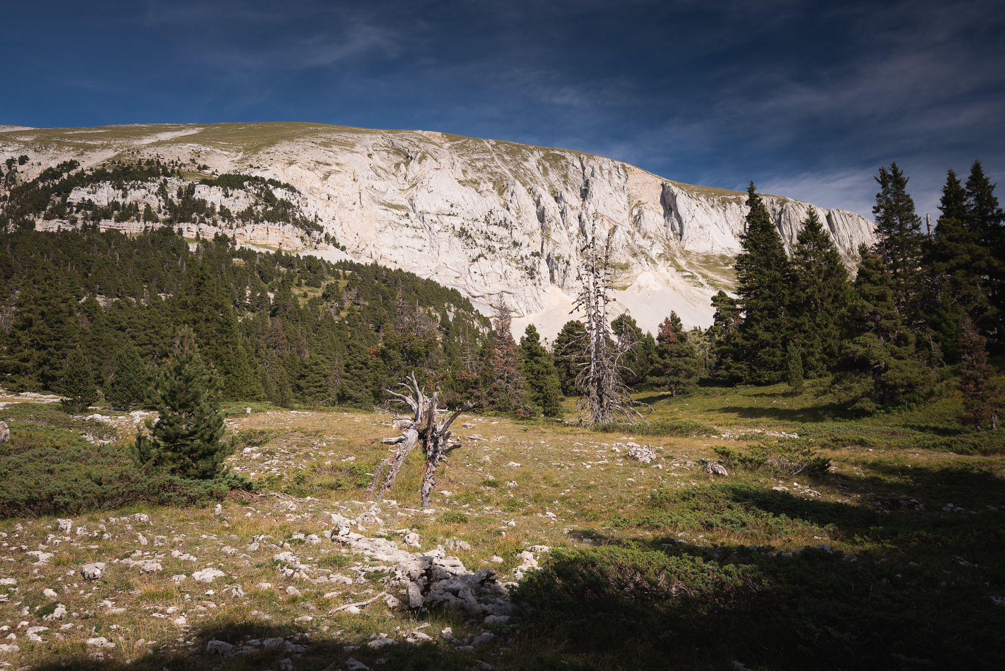 Au pied du Grand Veymont