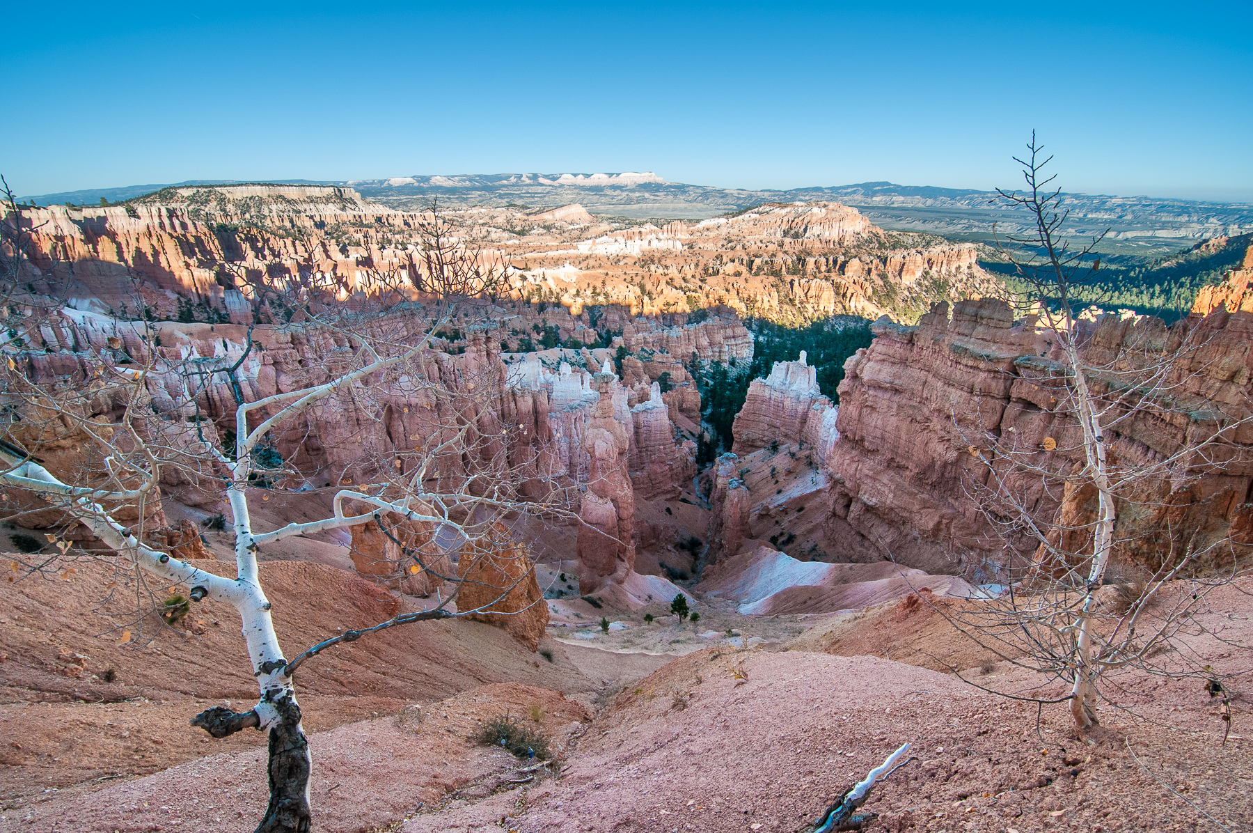 Bryce Canyon