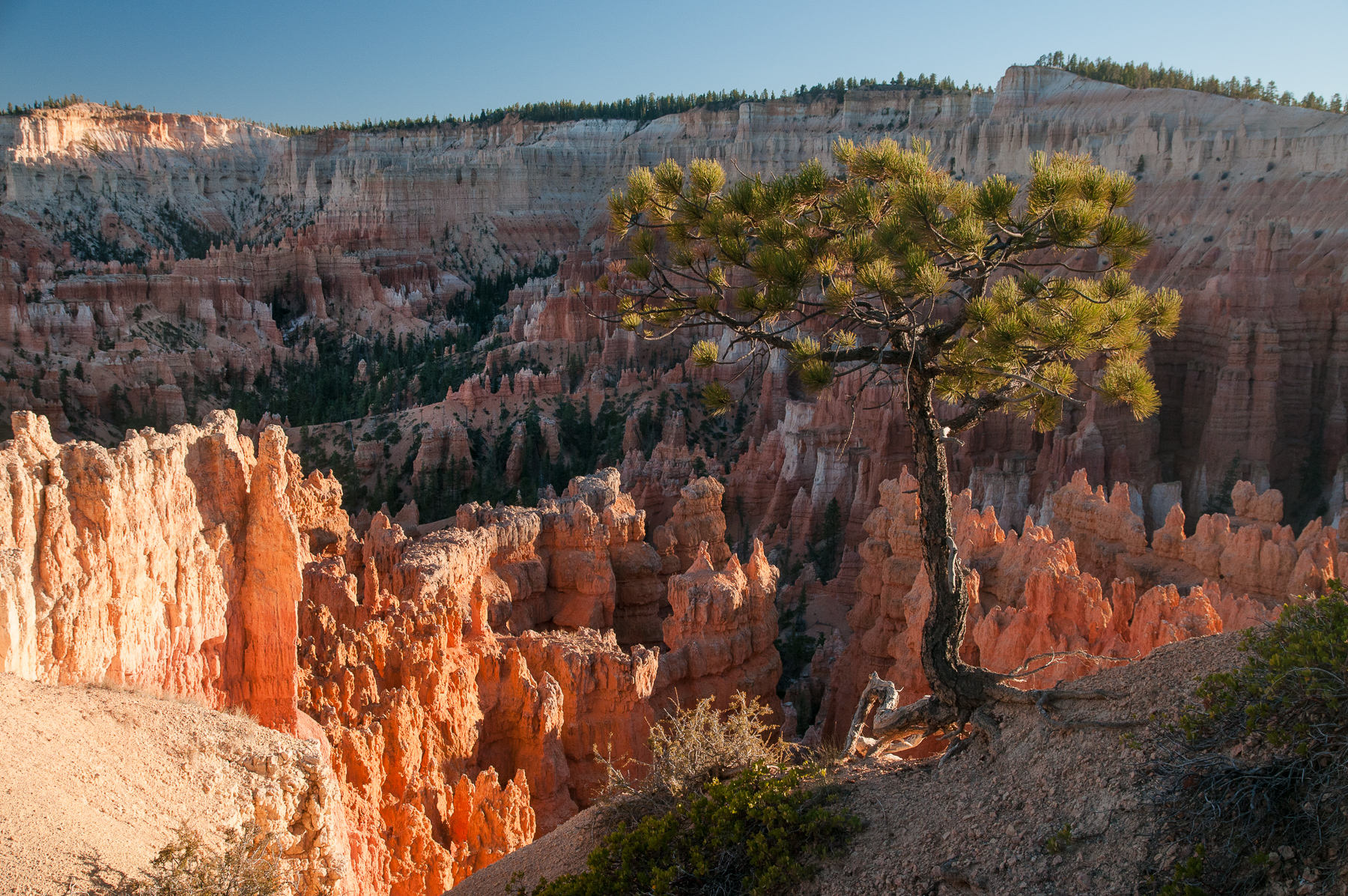 Bryce Canyon