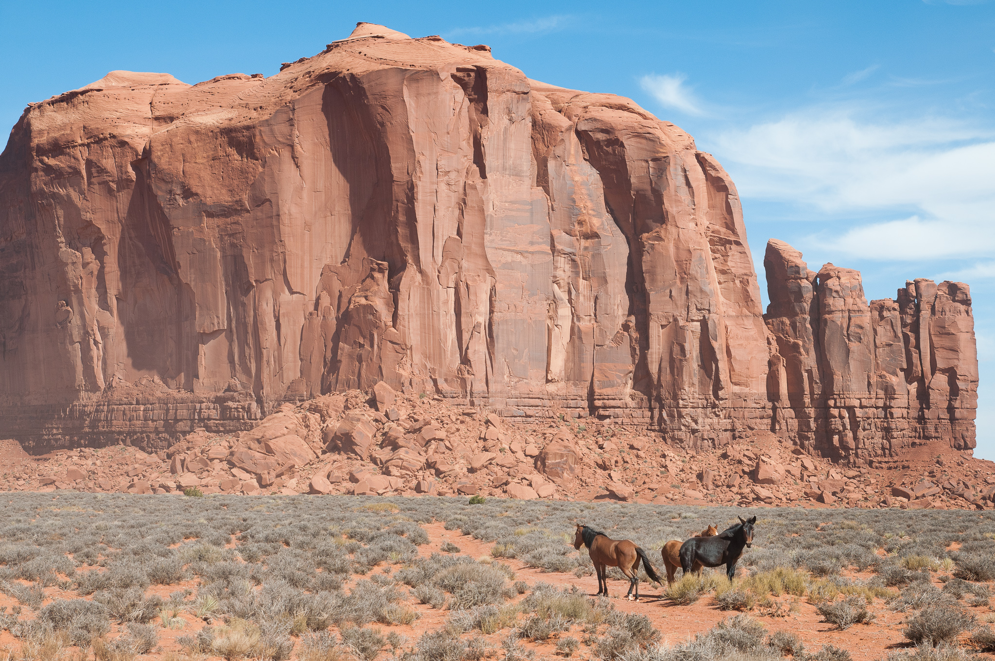 Chevaux à Monument Valley