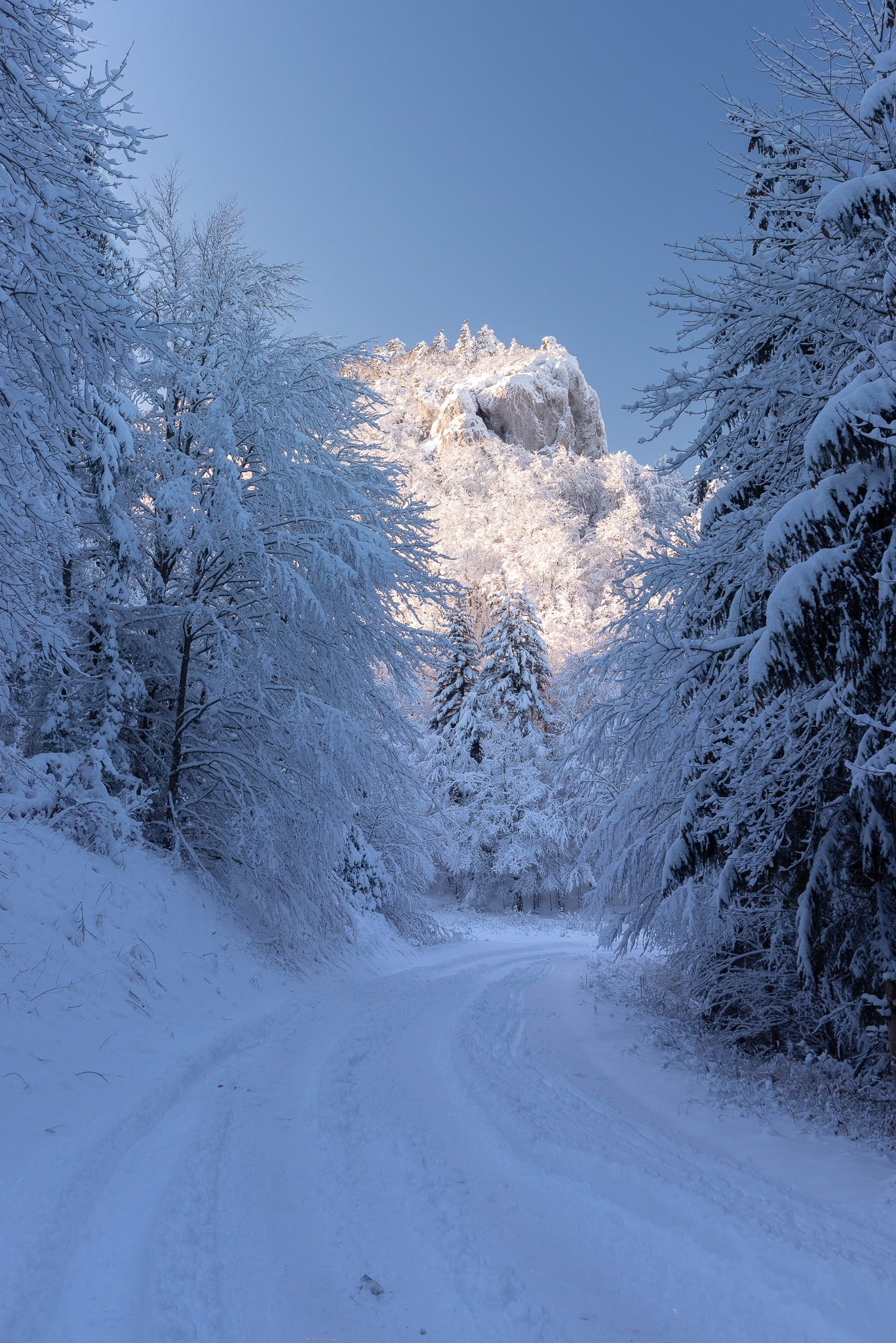 Col de la bataille