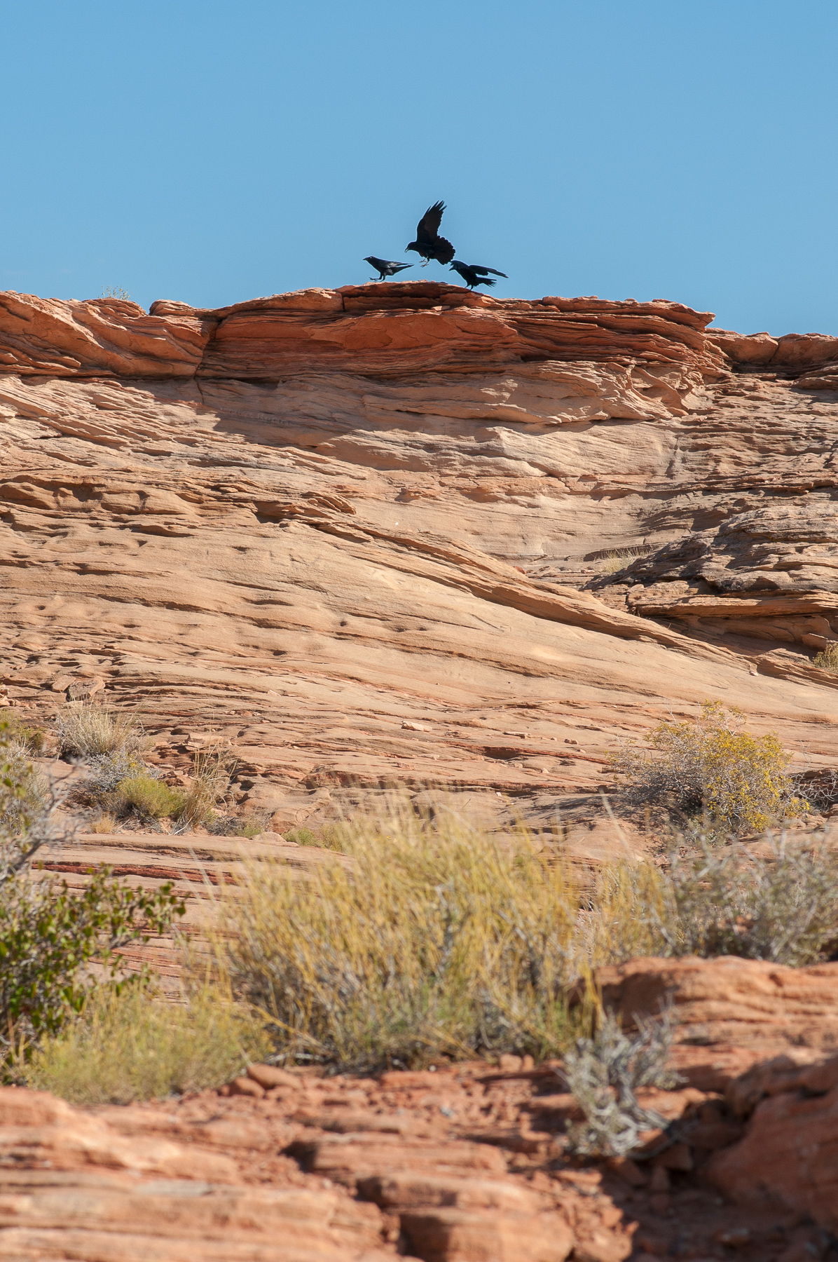 Glen Canyon