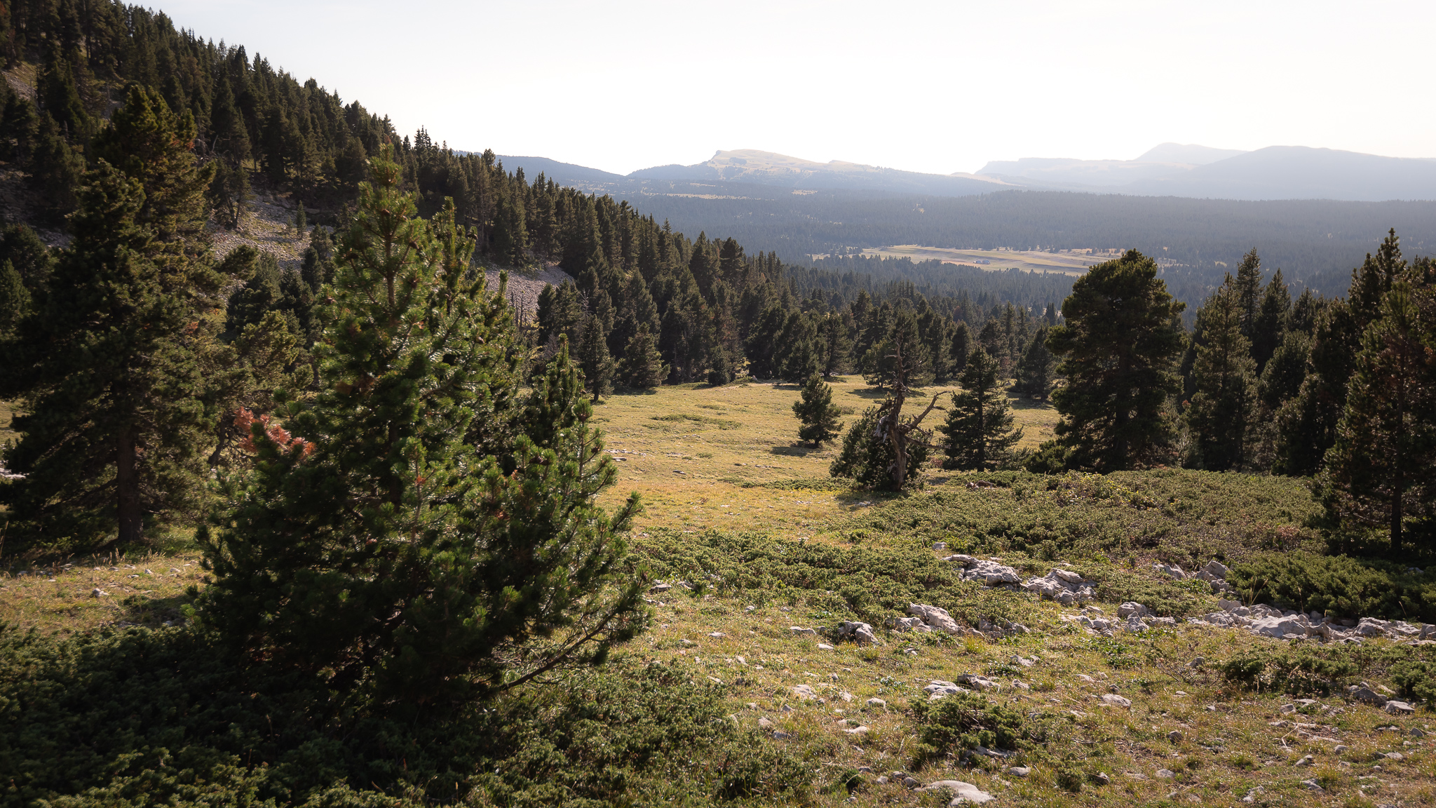 Hauts plateau du vercors