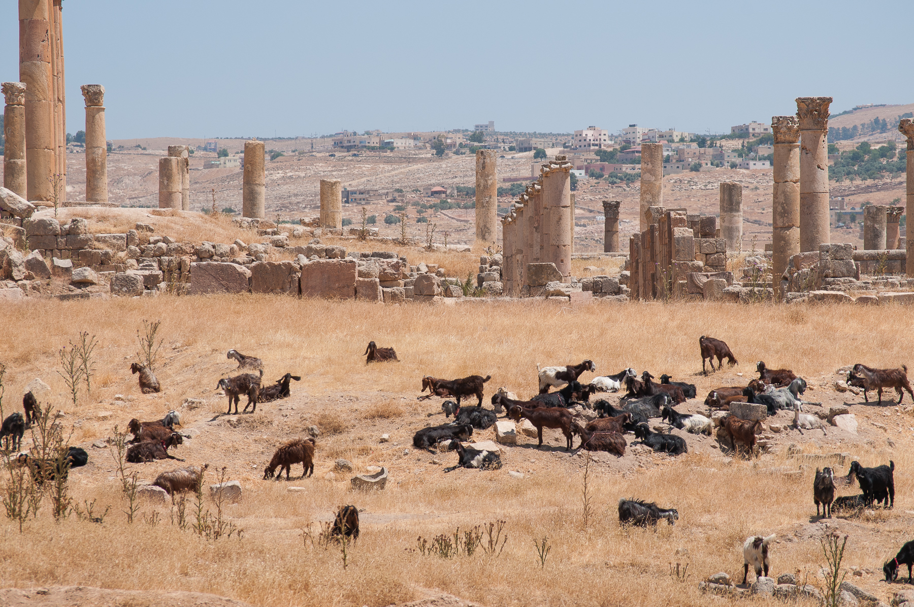 Jerash