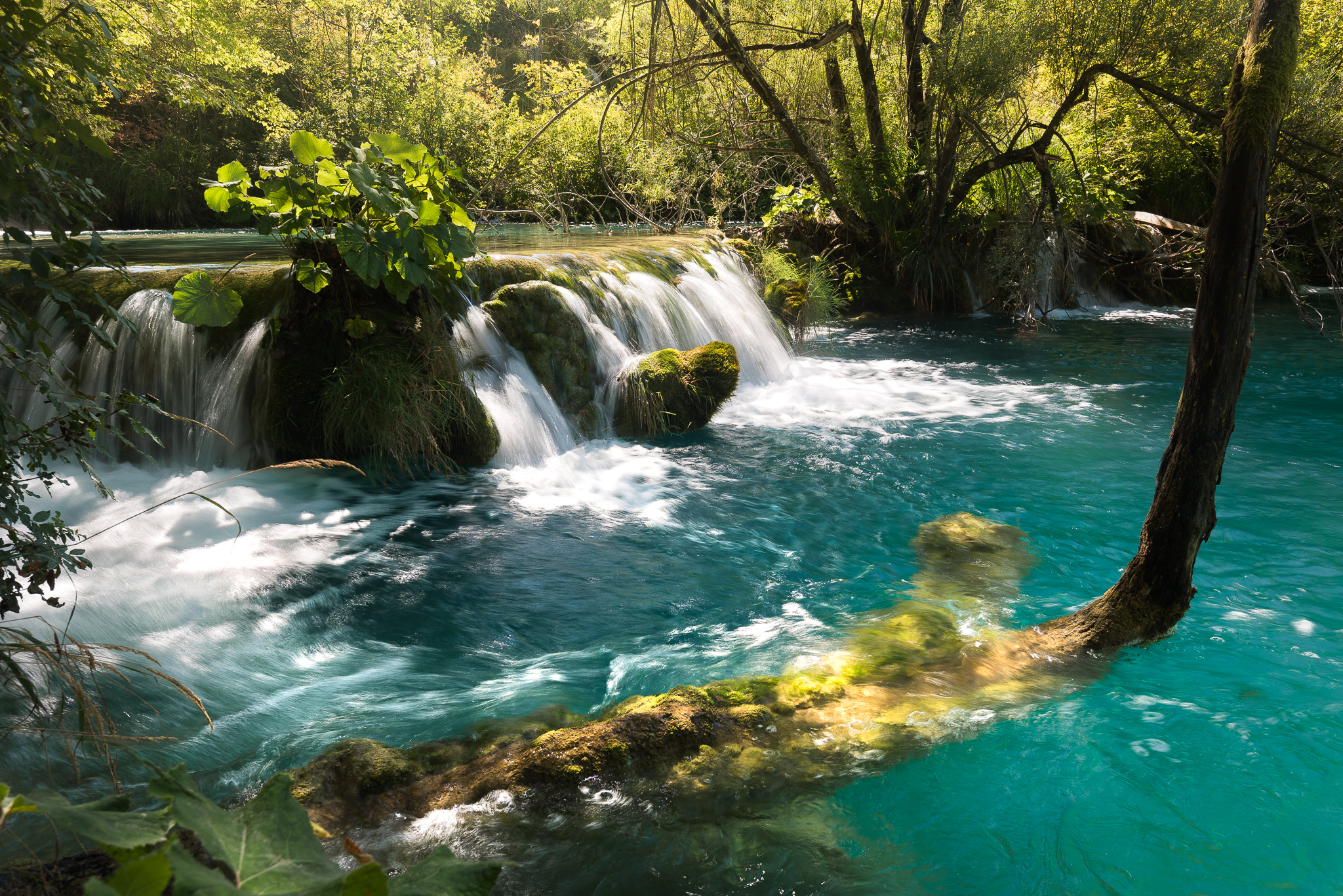 Lac de Plitvice