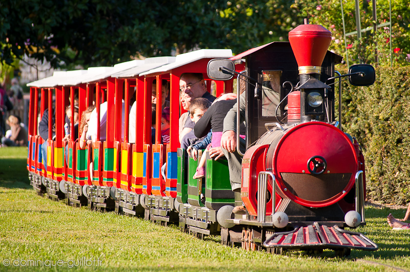 Le petit train