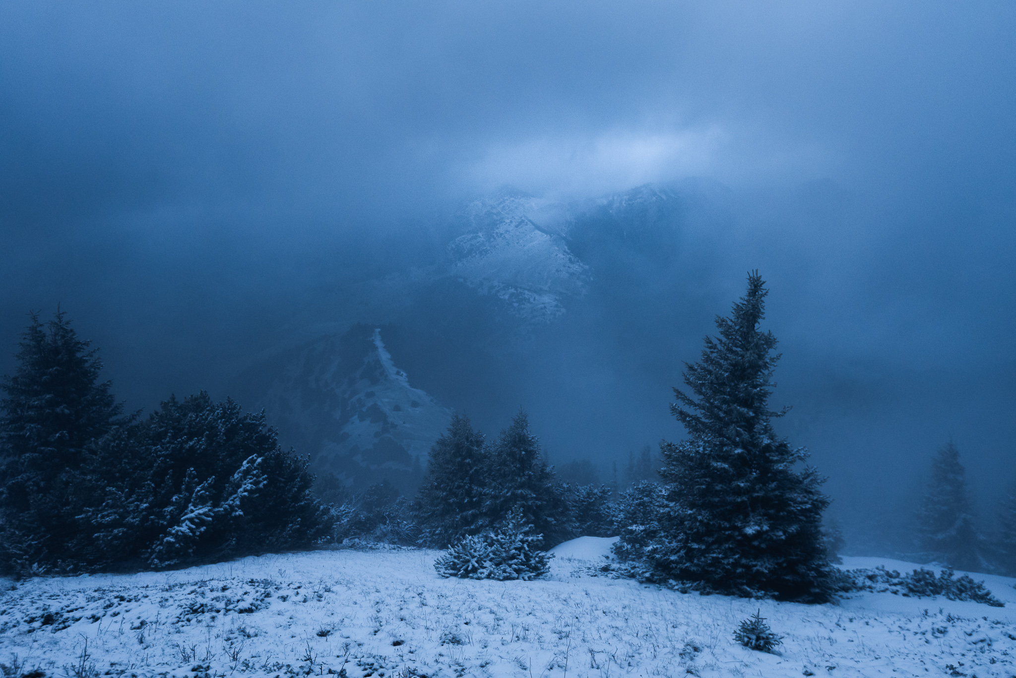 Les pentes du mont Barral