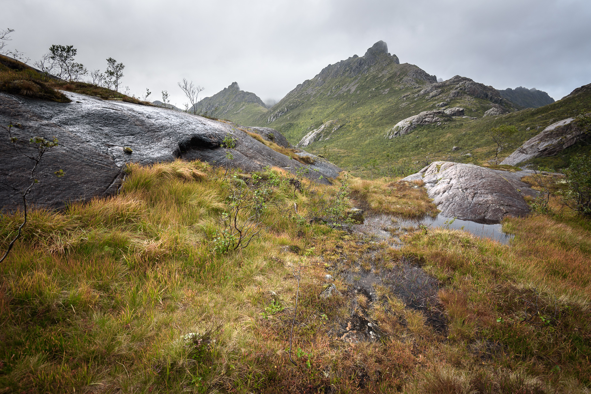 Norvège