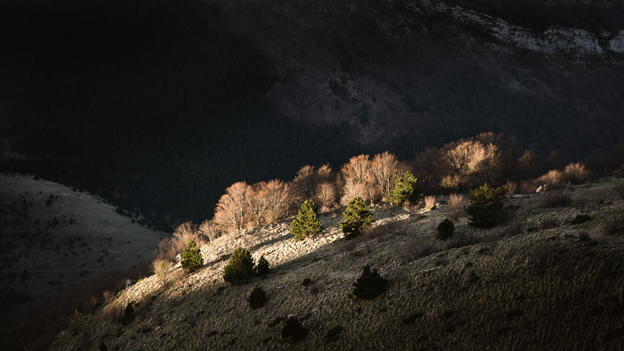 Ombre et lumière