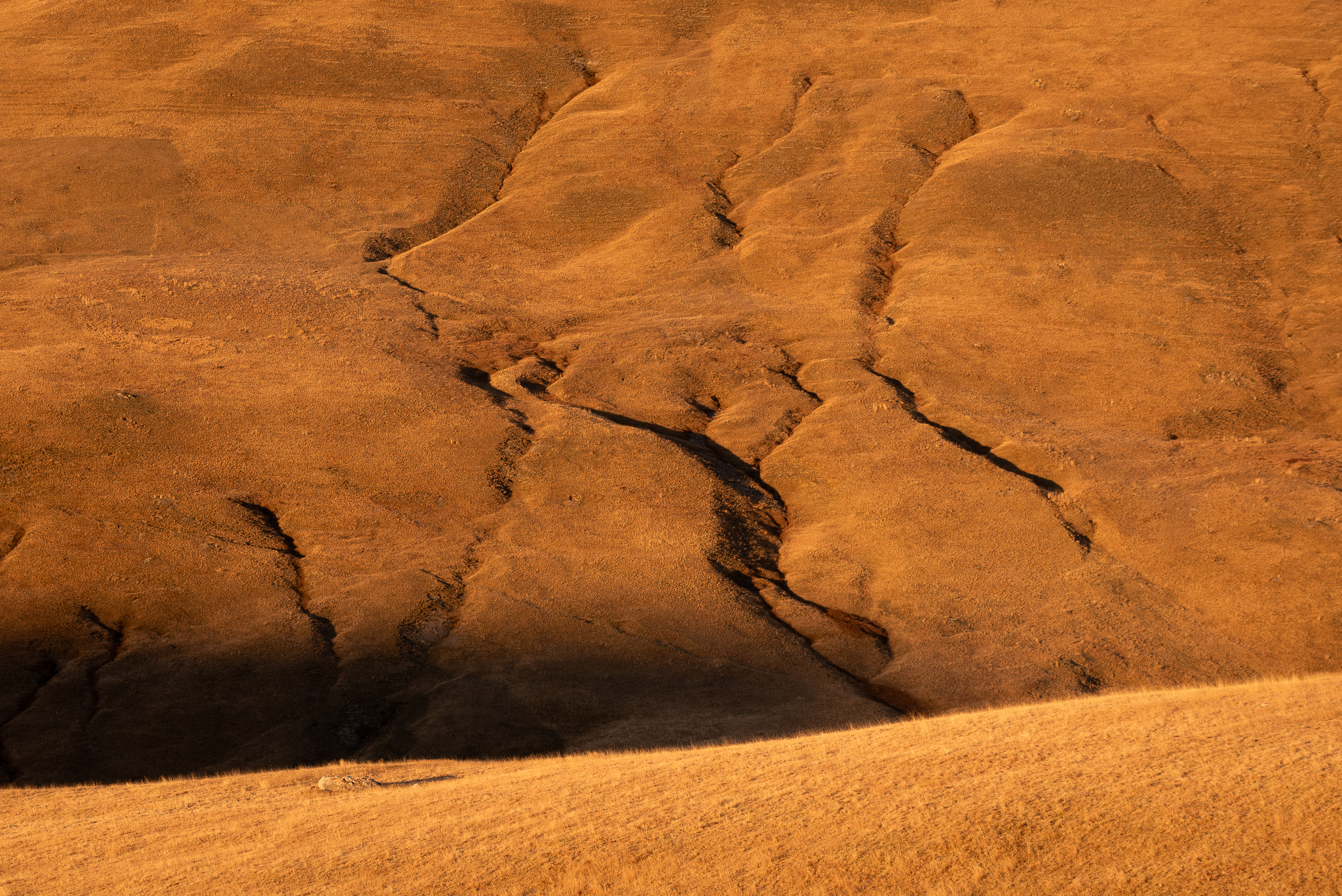 Plateau d'Emparis