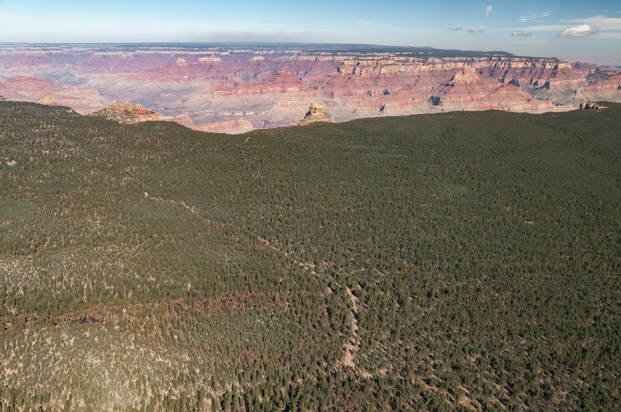 Plateau en bordure du Canyon