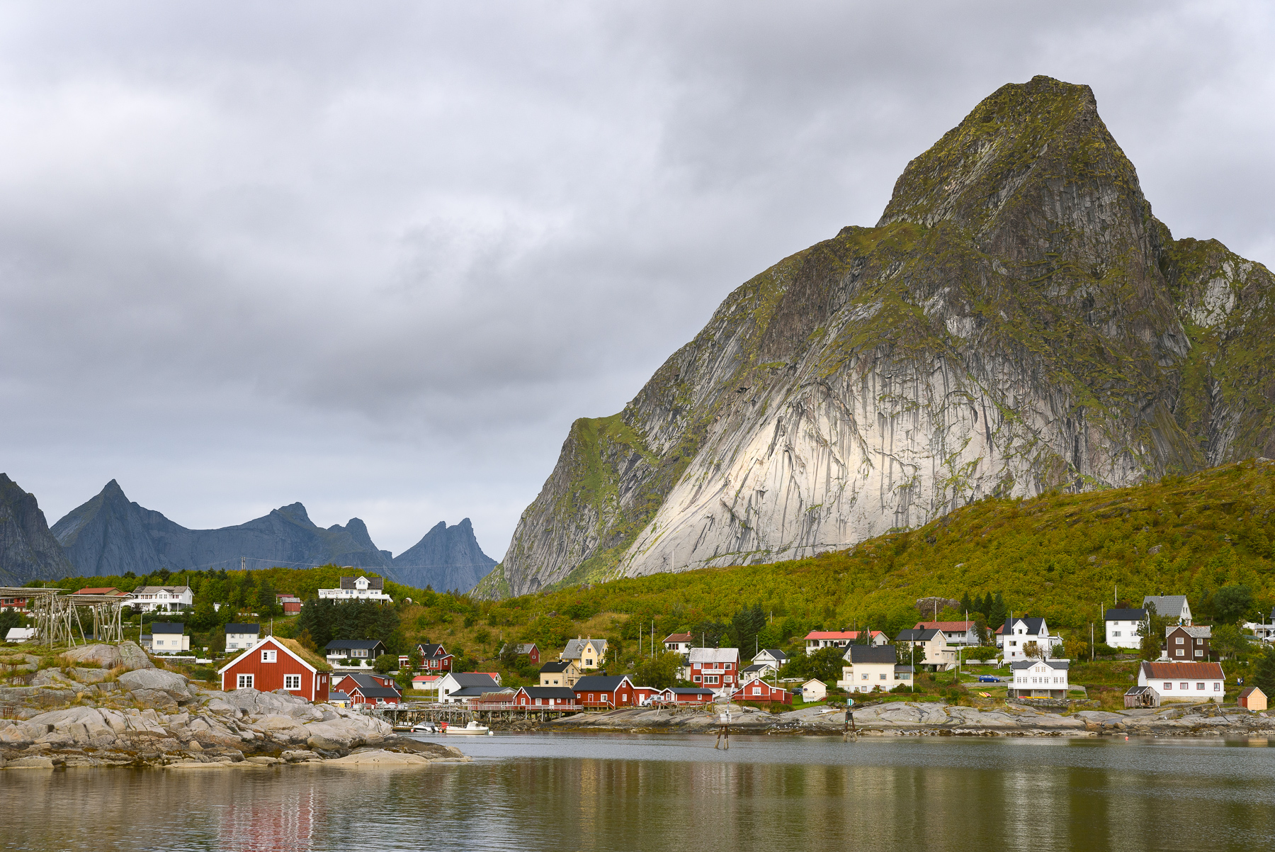 Reine