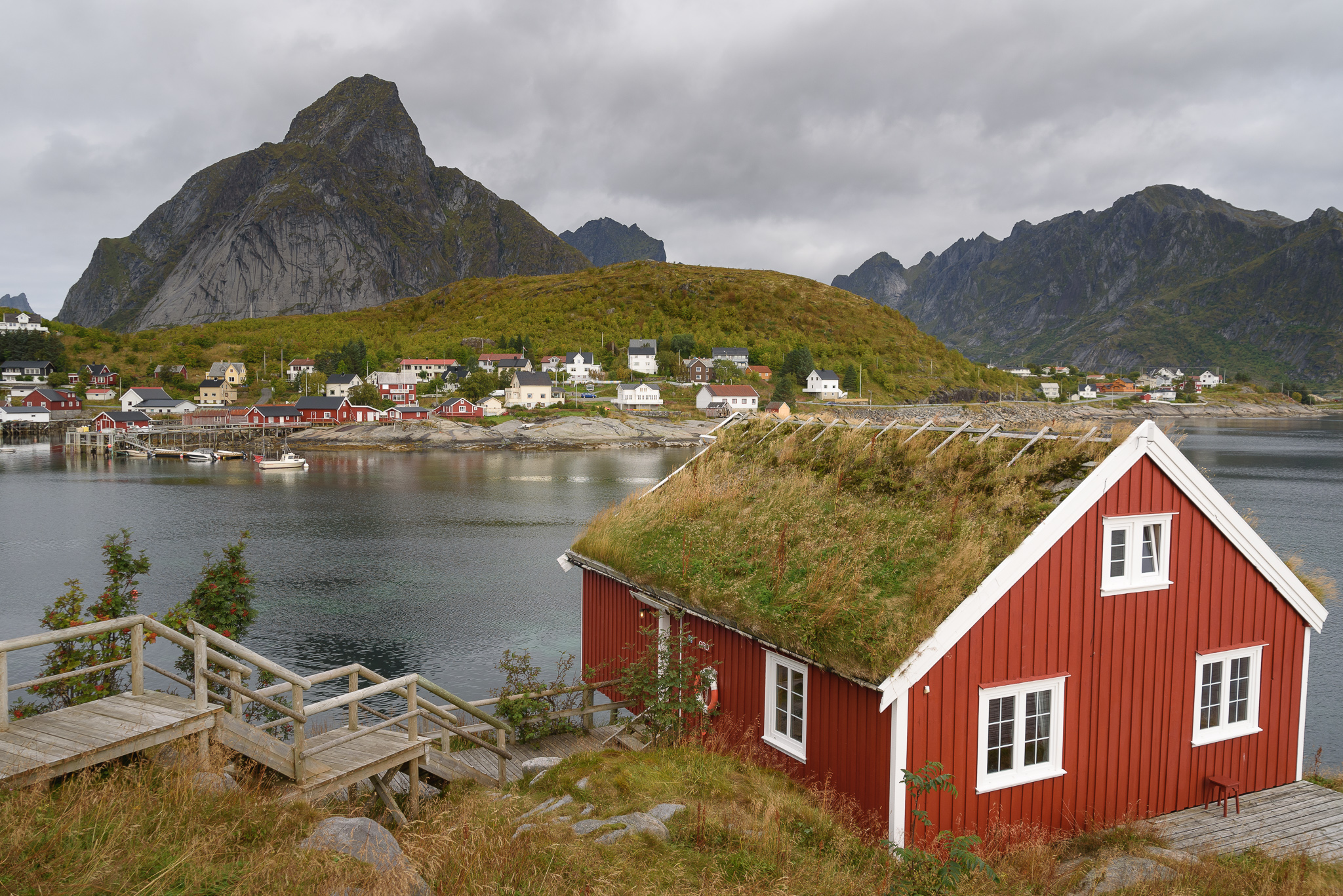 Reine