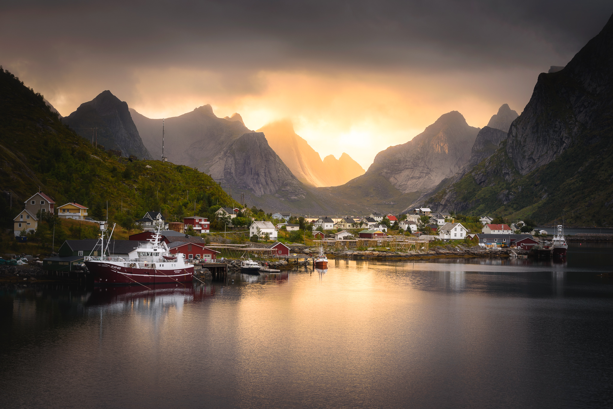 Reine