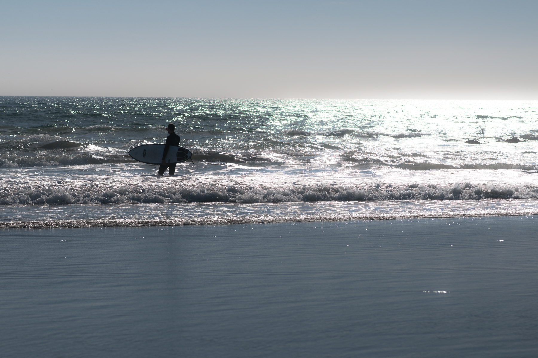 Venice beach