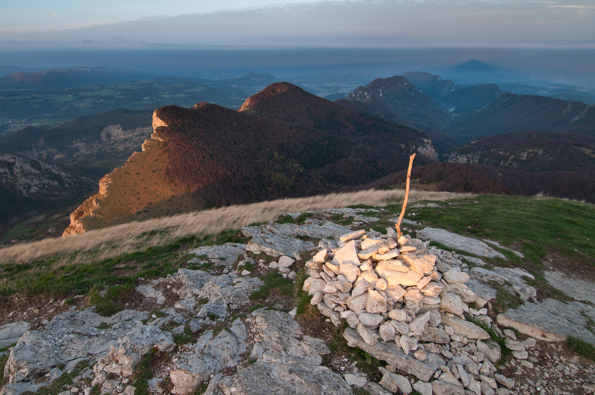 Vue sur la forêt de Saoû